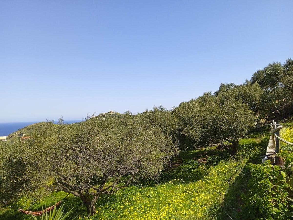 הוילה אגיה פלגיה קיתירה Saveriako, Paradise For Relaxed Free Spirits מראה חיצוני תמונה