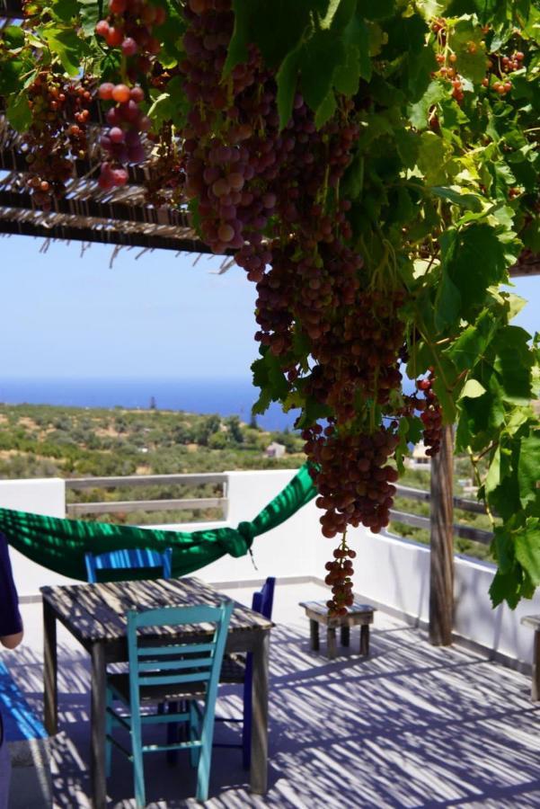 הוילה אגיה פלגיה קיתירה Saveriako, Paradise For Relaxed Free Spirits מראה חיצוני תמונה