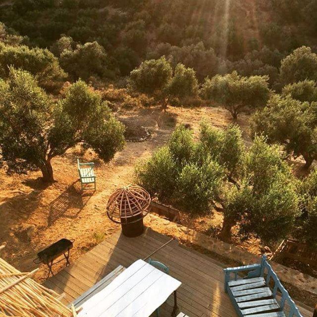 הוילה אגיה פלגיה קיתירה Saveriako, Paradise For Relaxed Free Spirits מראה חיצוני תמונה
