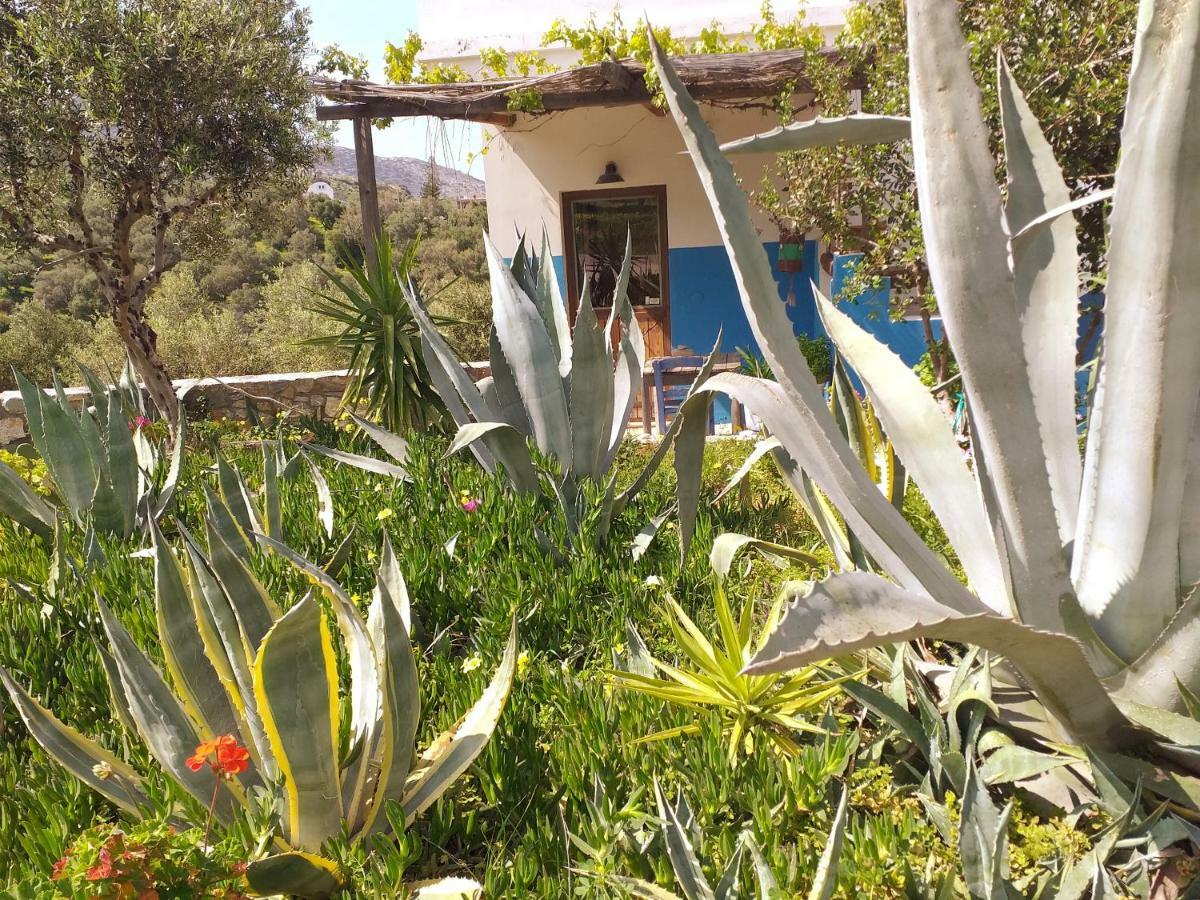 הוילה אגיה פלגיה קיתירה Saveriako, Paradise For Relaxed Free Spirits מראה חיצוני תמונה